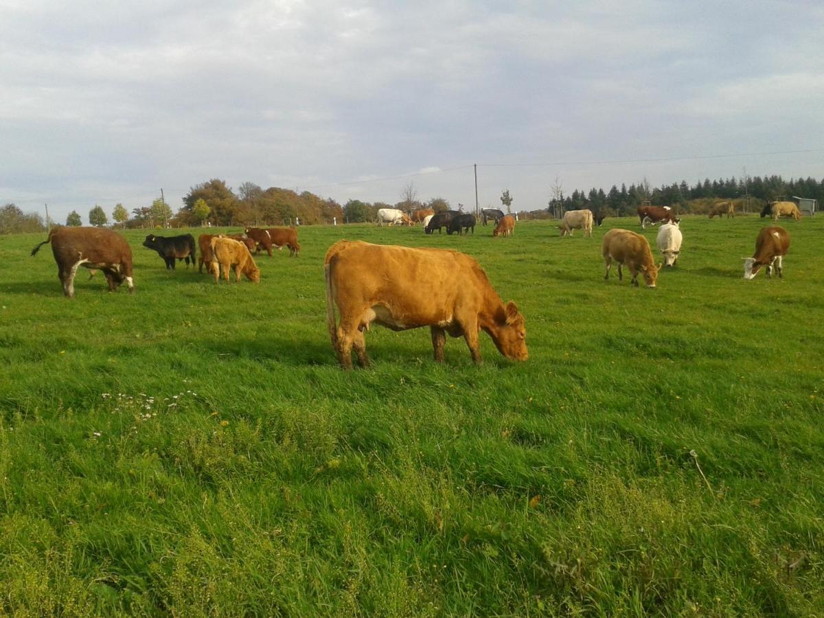 Ferienwohnung Scheid Lahr  Exteriér fotografie